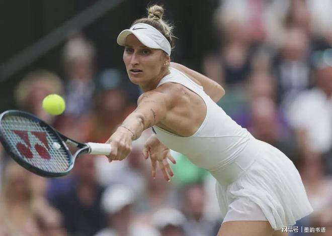 业内人士分 业内人士分